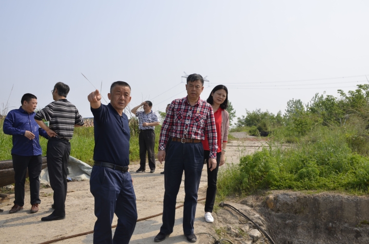 李处长一行实地查看合口镇芭茅渡口渔船民集散地码头建设现场 (2).jpg