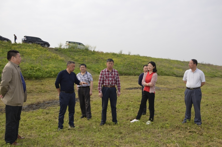 李处长一行实地查看停弦渡镇福船外洲高危易感地带现场.jpg