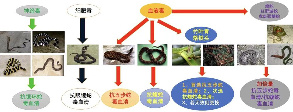 微信图片_20250619103758