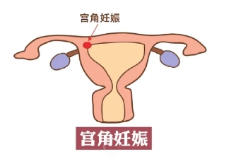 微信图片_2026-01-12_101619_640